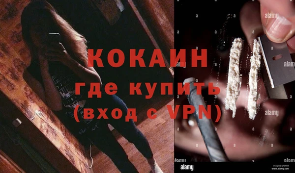 прущие грибы Саяногорск