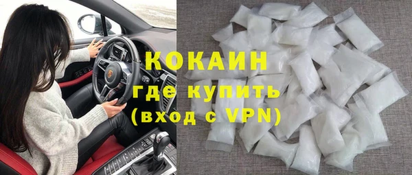 прущие грибы Саяногорск