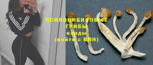кокс Алзамай