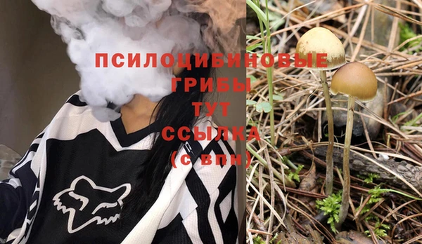 mix Алексин