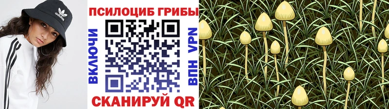Галлюциногенные грибы прущие грибы  Гуково 